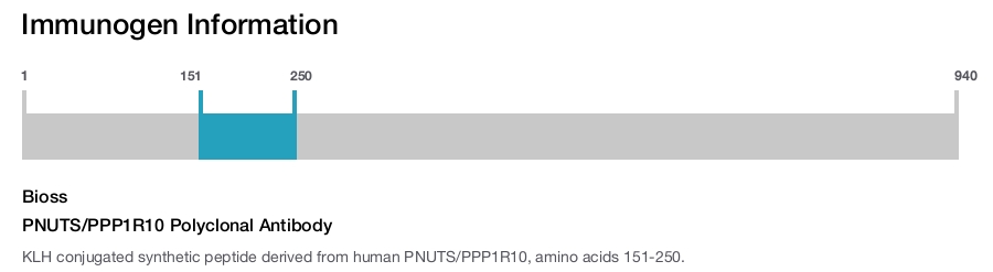 PNUTS/PPP1R10 Polyclonal Antibody
