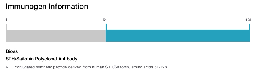 STH/Saitohin Polyclonal Antibody