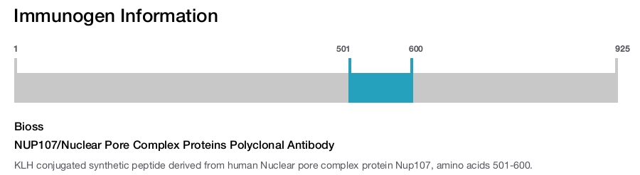 NUP107/Nuclear Pore Complex Proteins Polyclonal Antibody