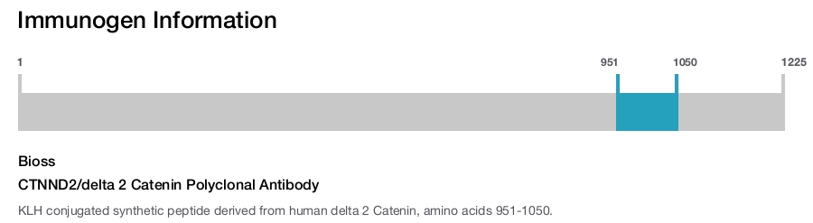 CTNND2/delta 2 Catenin Polyclonal Antibody