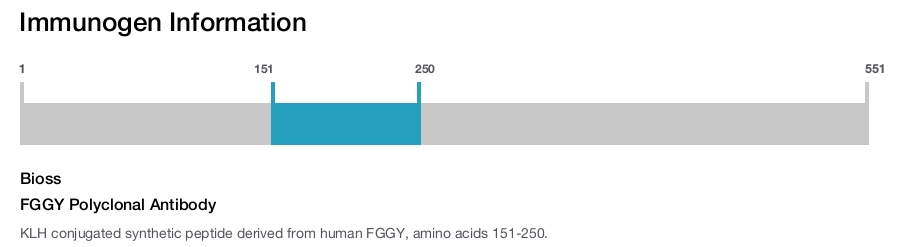 FGGY Polyclonal Antibody