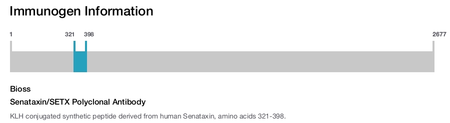 Senataxin/SETX Polyclonal Antibody