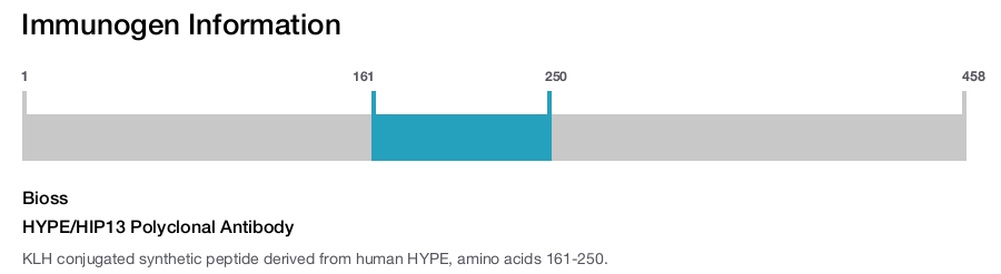 HYPE/HIP13 Polyclonal Antibody