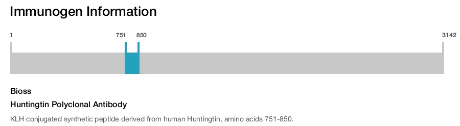 Huntingtin Polyclonal Antibody