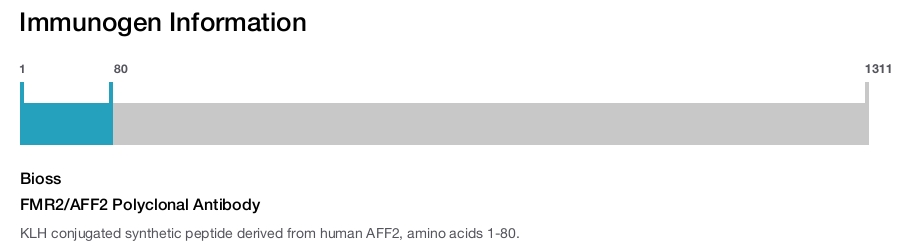 FMR2/AFF2 Polyclonal Antibody