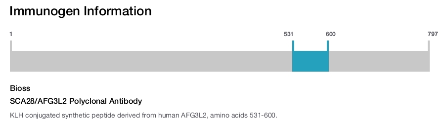 SCA28/AFG3L2 Polyclonal Antibody
