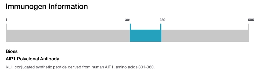 AIP1 Polyclonal Antibody