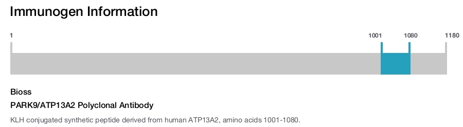 PARK9/ATP13A2 Polyclonal Antibody