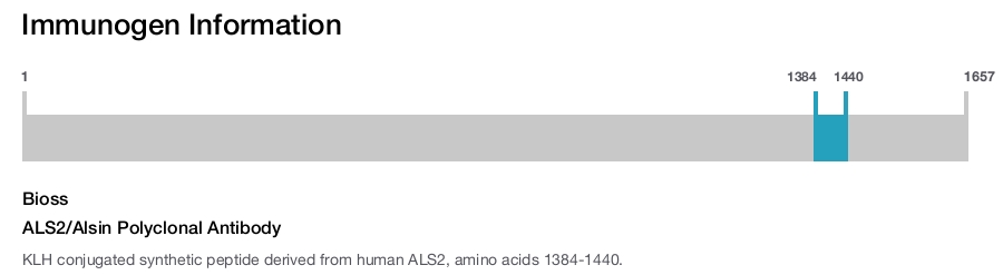ALS2/Alsin Polyclonal Antibody