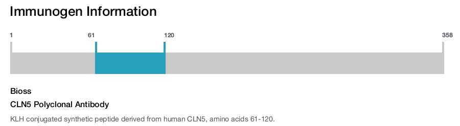 CLN5 Polyclonal Antibody