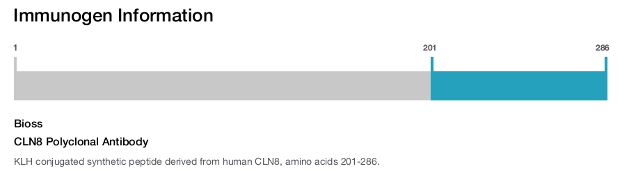 CLN8 Polyclonal Antibody