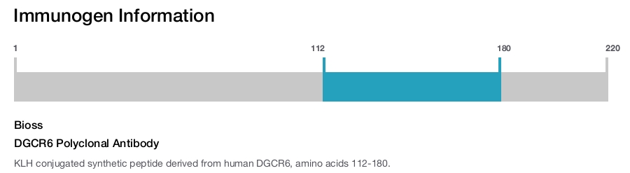 DGCR6 Polyclonal Antibody