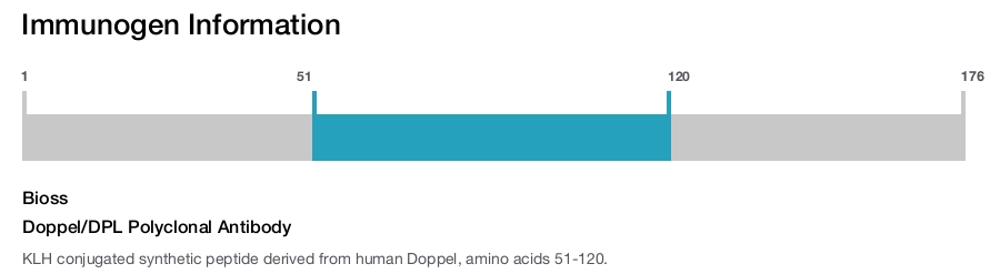 Doppel/DPL Polyclonal Antibody