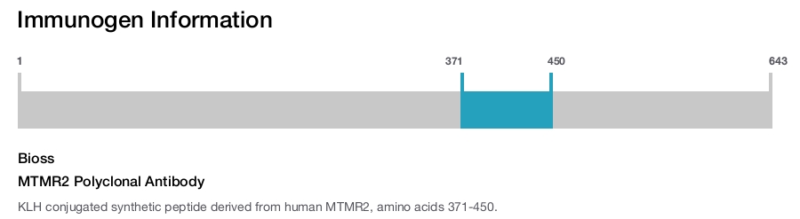 MTMR2 Polyclonal Antibody