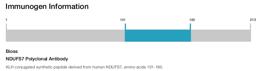NDUFS7 Polyclonal Antibody