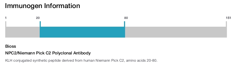NPC2/Niemann Pick C2 Polyclonal Antibody