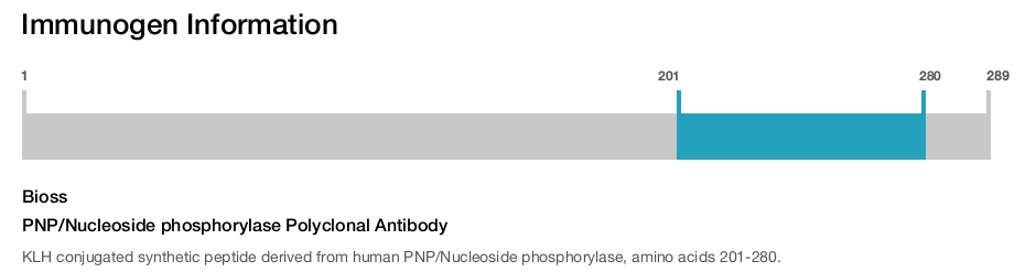 PNP/Nucleoside phosphorylase Polyclonal Antibody