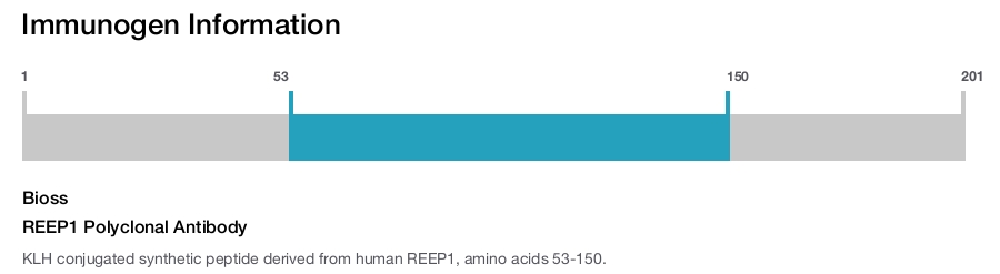 REEP1 Polyclonal Antibody