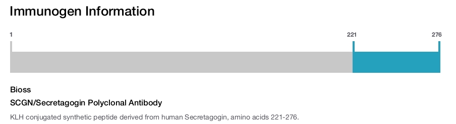 SCGN/Secretagogin Polyclonal Antibody