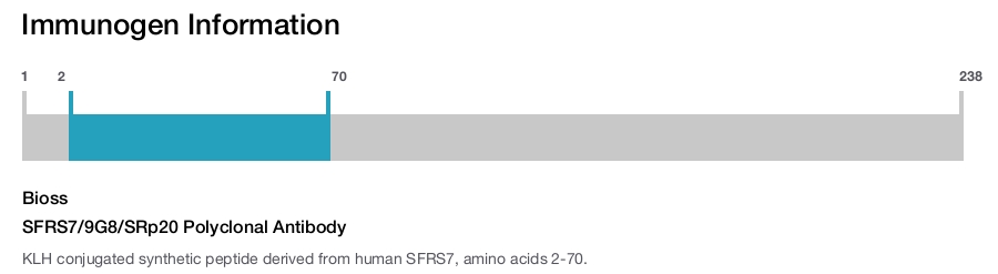 SFRS7/9G8/SRp20 Polyclonal Antibody