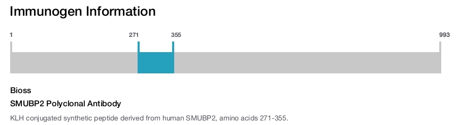 SMUBP2 Polyclonal Antibody