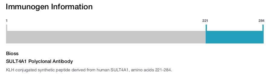 SULT4A1 Polyclonal Antibody