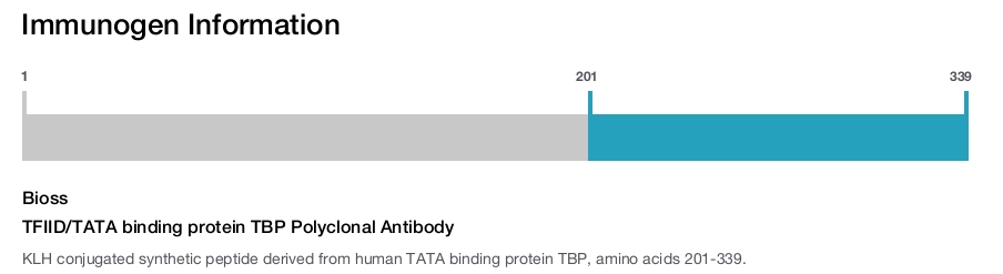 TFIID/TATA binding protein TBP Polyclonal Antibody