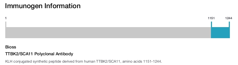 TTBK2/SCA11 Polyclonal Antibody