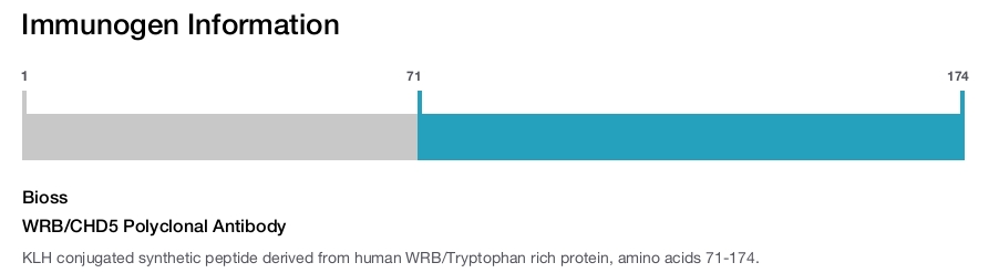 WRB/CHD5 Polyclonal Antibody