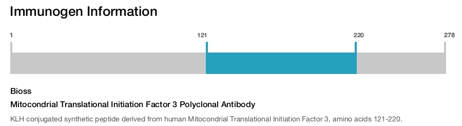 Mitocondrial Translational Initiation Factor 3 Polyclonal Antibody