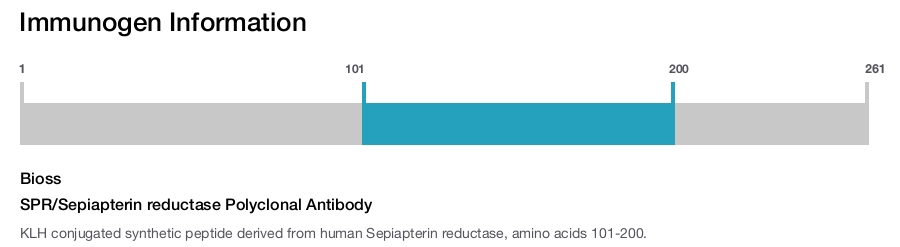 SPR/Sepiapterin reductase Polyclonal Antibody