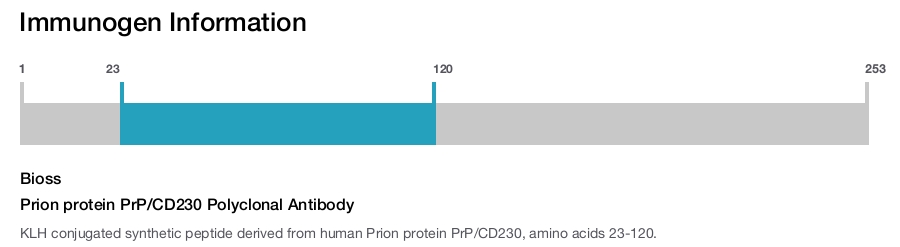 Prion protein PrP/CD230 Polyclonal Antibody