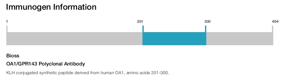 OA1/GPR143 Polyclonal Antibody