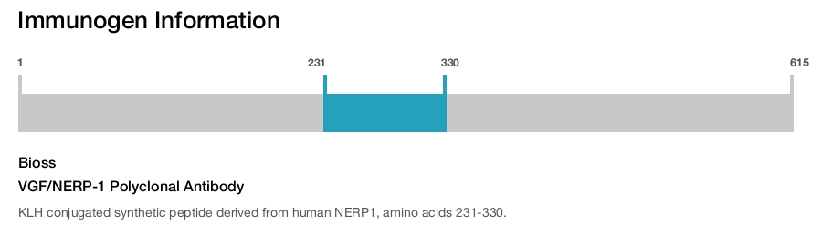 VGF/NERP-1 Polyclonal Antibody