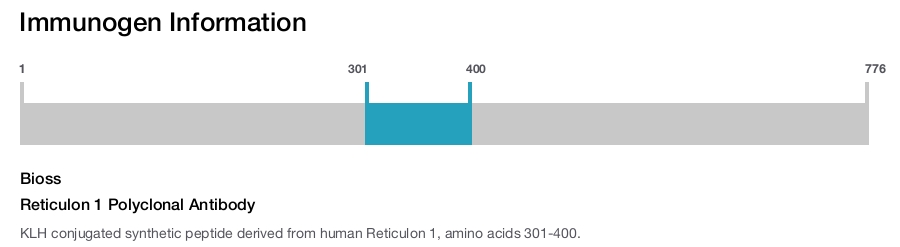 Reticulon 1 Polyclonal Antibody