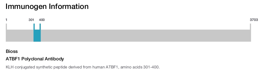 ATBF1 Polyclonal Antibody