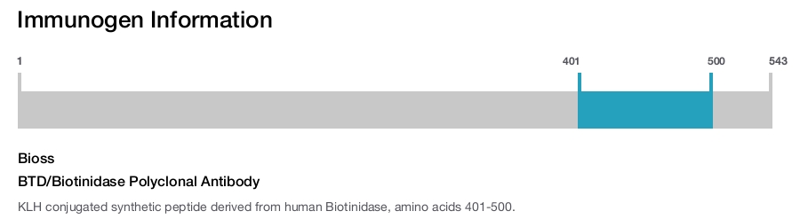 BTD/Biotinidase Polyclonal Antibody