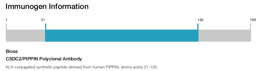 CSDC2/PIPPIN Polyclonal Antibody