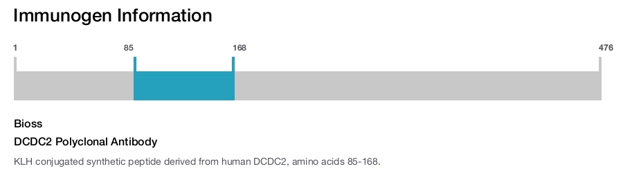 DCDC2 Polyclonal Antibody