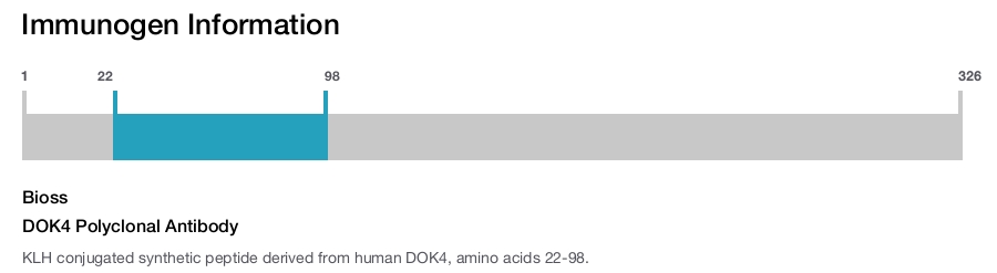 DOK4 Polyclonal Antibody