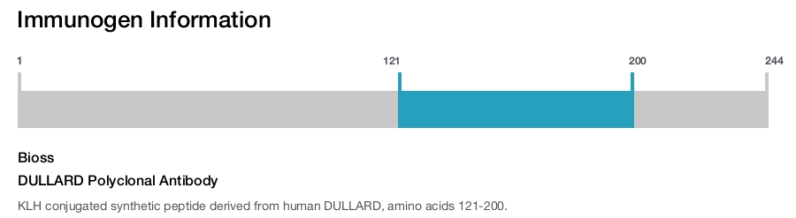 DULLARD Polyclonal Antibody