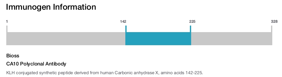 CA10 Polyclonal Antibody