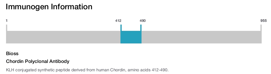 Chordin Polyclonal Antibody