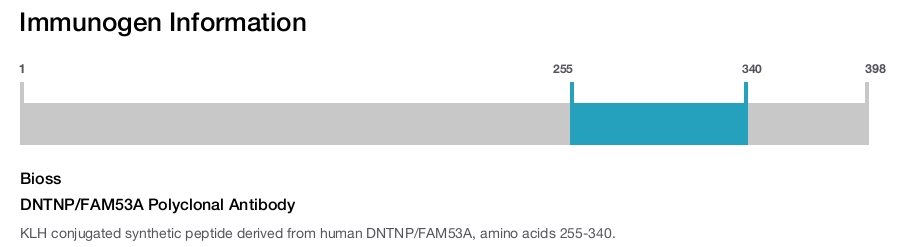 DNTNP/FAM53A Polyclonal Antibody