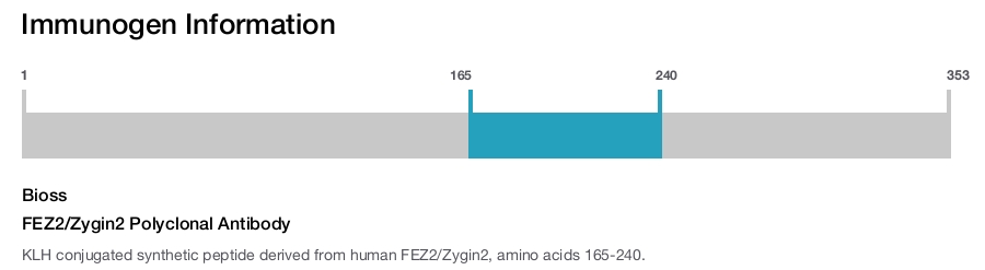 FEZ2/Zygin2 Polyclonal Antibody