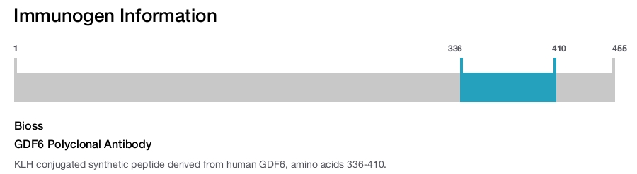 GDF6 Polyclonal Antibody