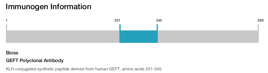 GEFT Polyclonal Antibody