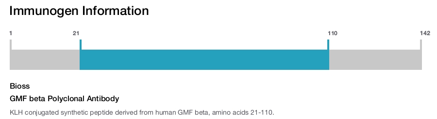GMF beta Polyclonal Antibody