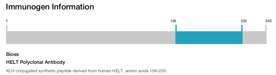 HELT Polyclonal Antibody