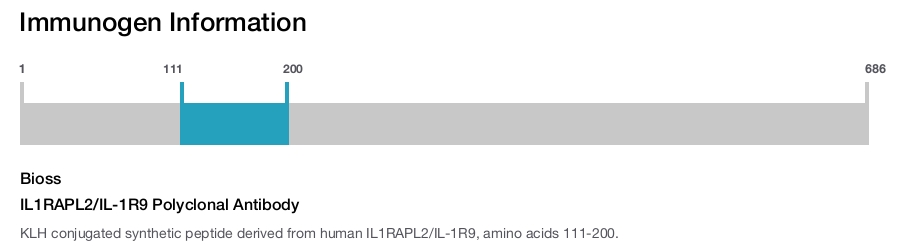 IL1RAPL2/IL-1R9 Polyclonal Antibody